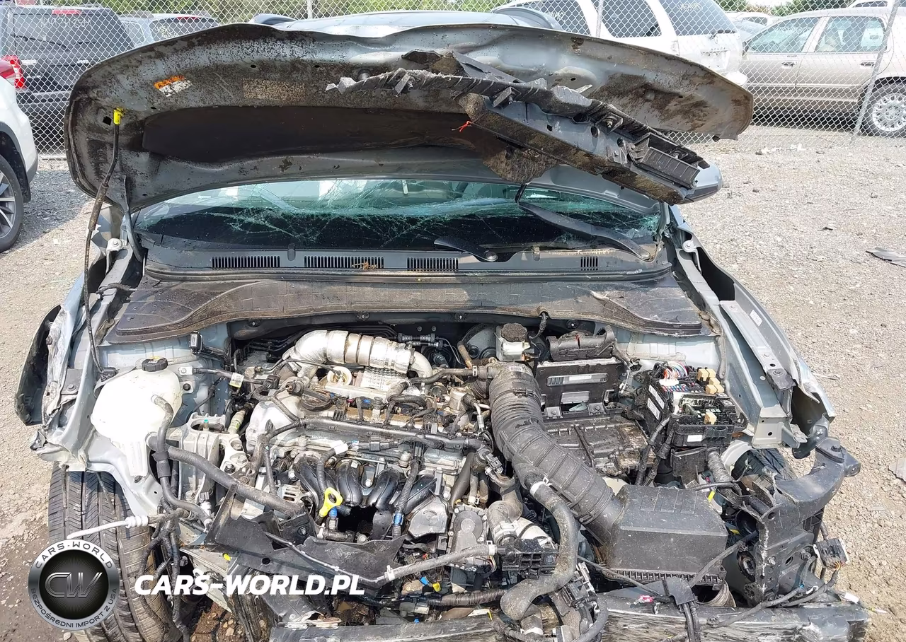 2020 Hyundai Kona Ultimate VIN:KM8K53A54LU422142 - 10