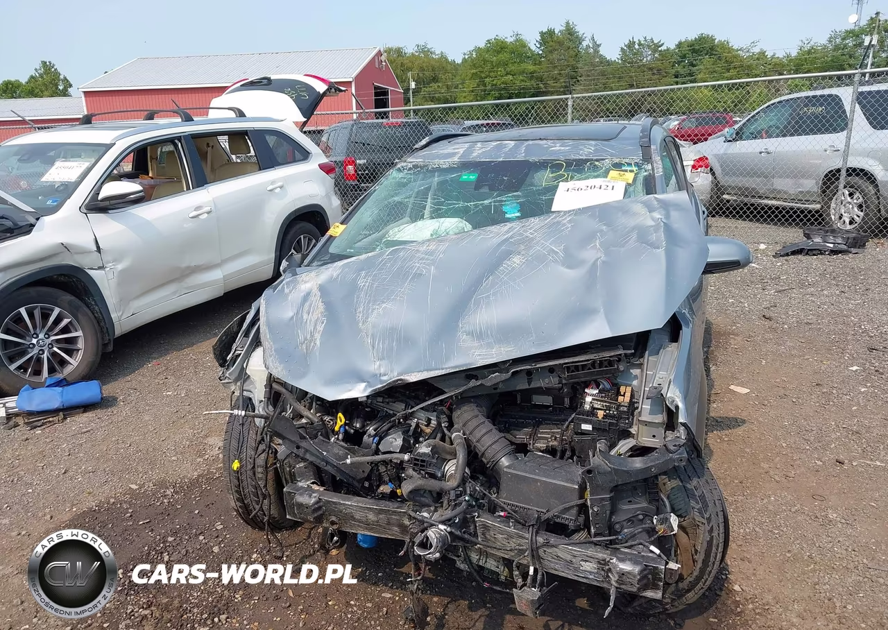 2020 Hyundai Kona Ultimate VIN:KM8K53A54LU422142 - 6