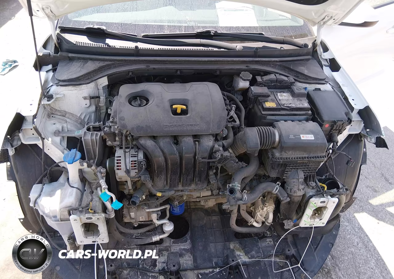 2019 Hyundai Elantra Sel VIN:5NPD84LF5KH486084 - 10