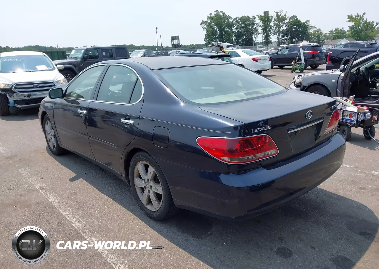 2005 Lexus Es 330 VIN:JTHBA30G355141142 - 3