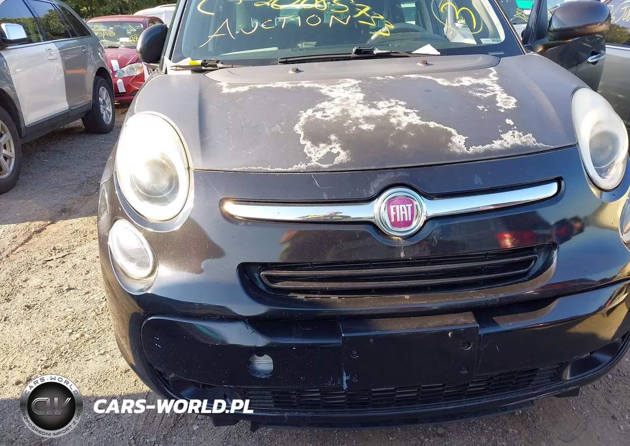 2014 Fiat 500L Easy VIN:ZFBCFABH5EZ011473 - 6