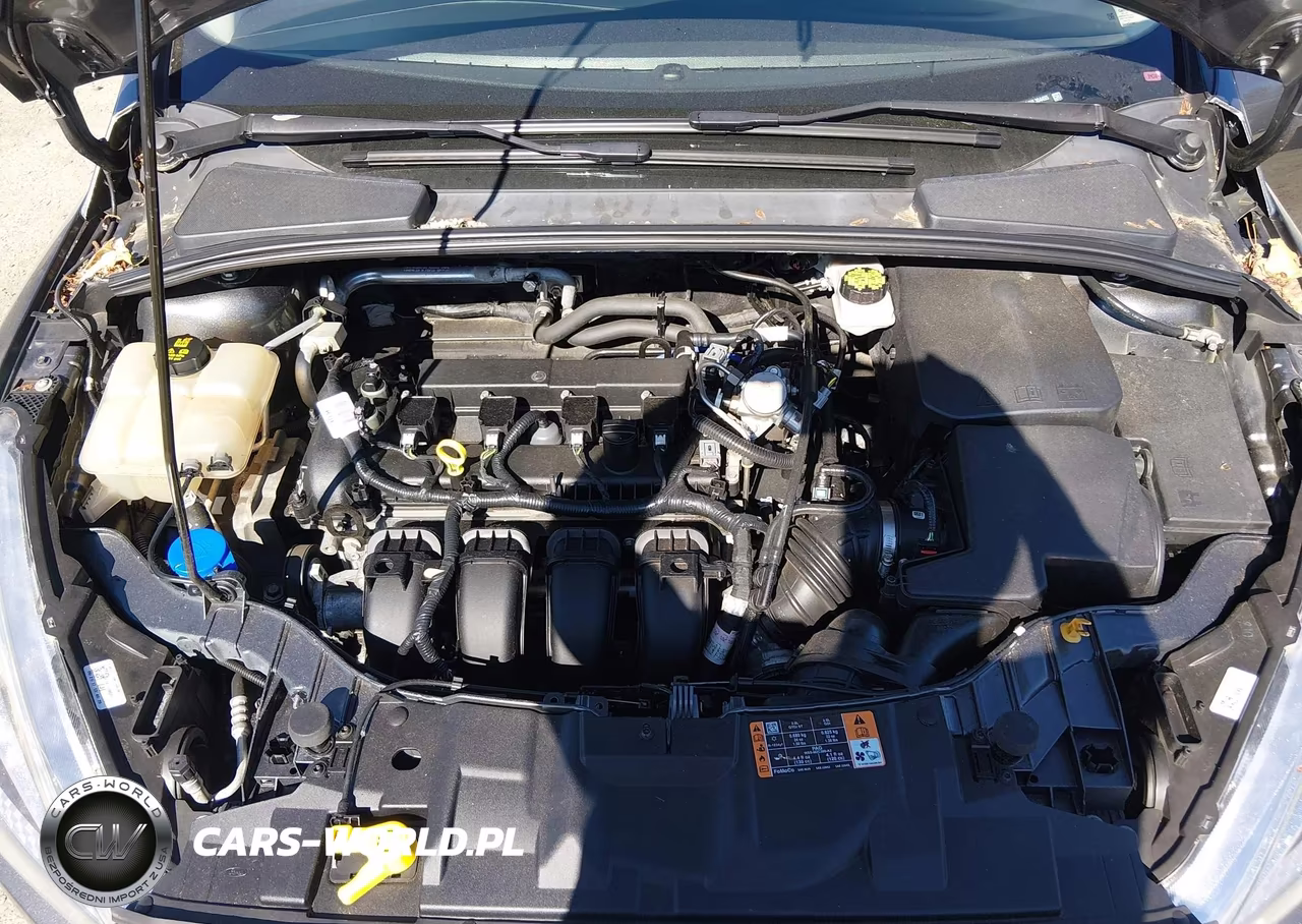 2017 Ford Focus Se VIN:1FADP3F24HL304455 - 10