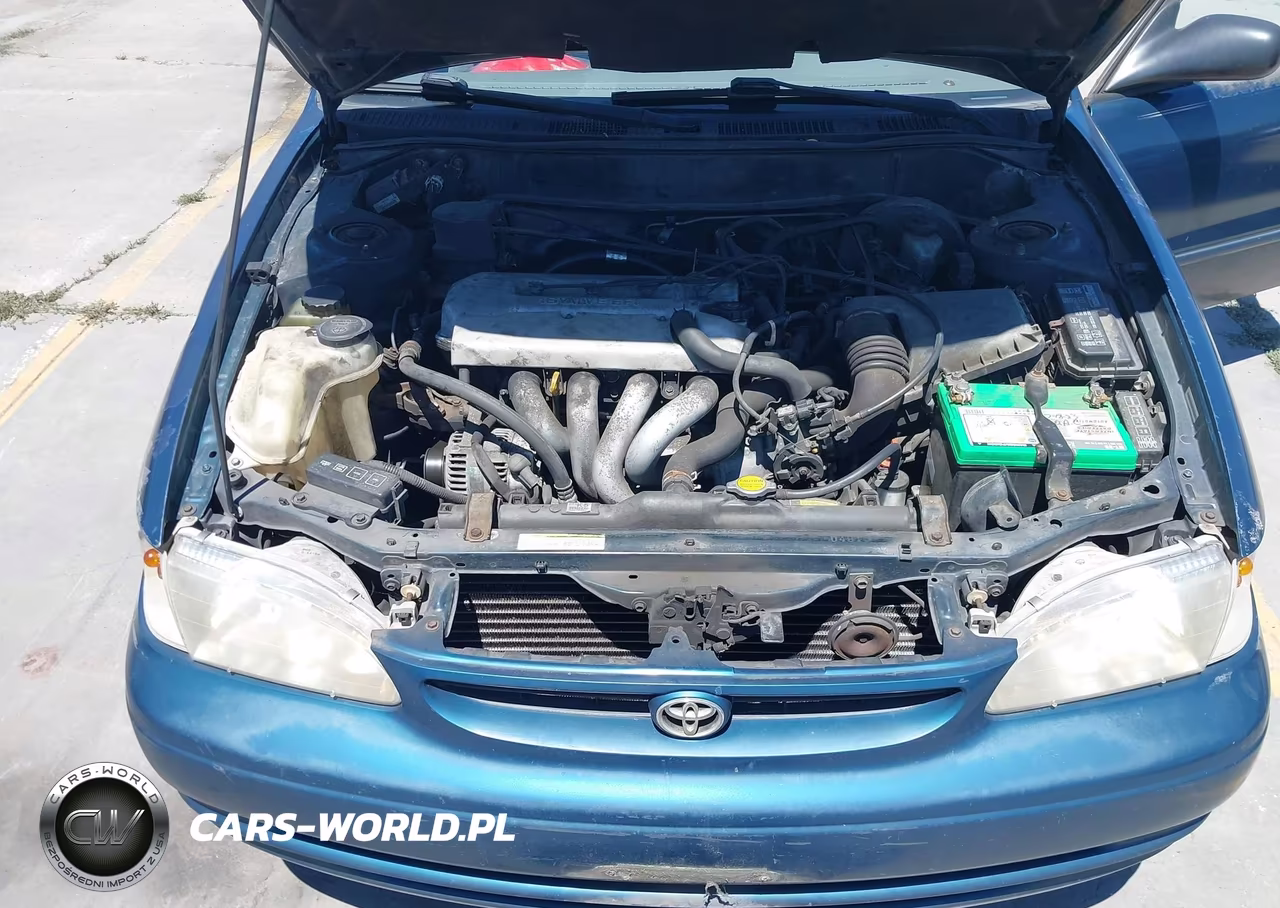 1998 Toyota Corolla Le VIN:1NXBR18E0WZ078862 - 10