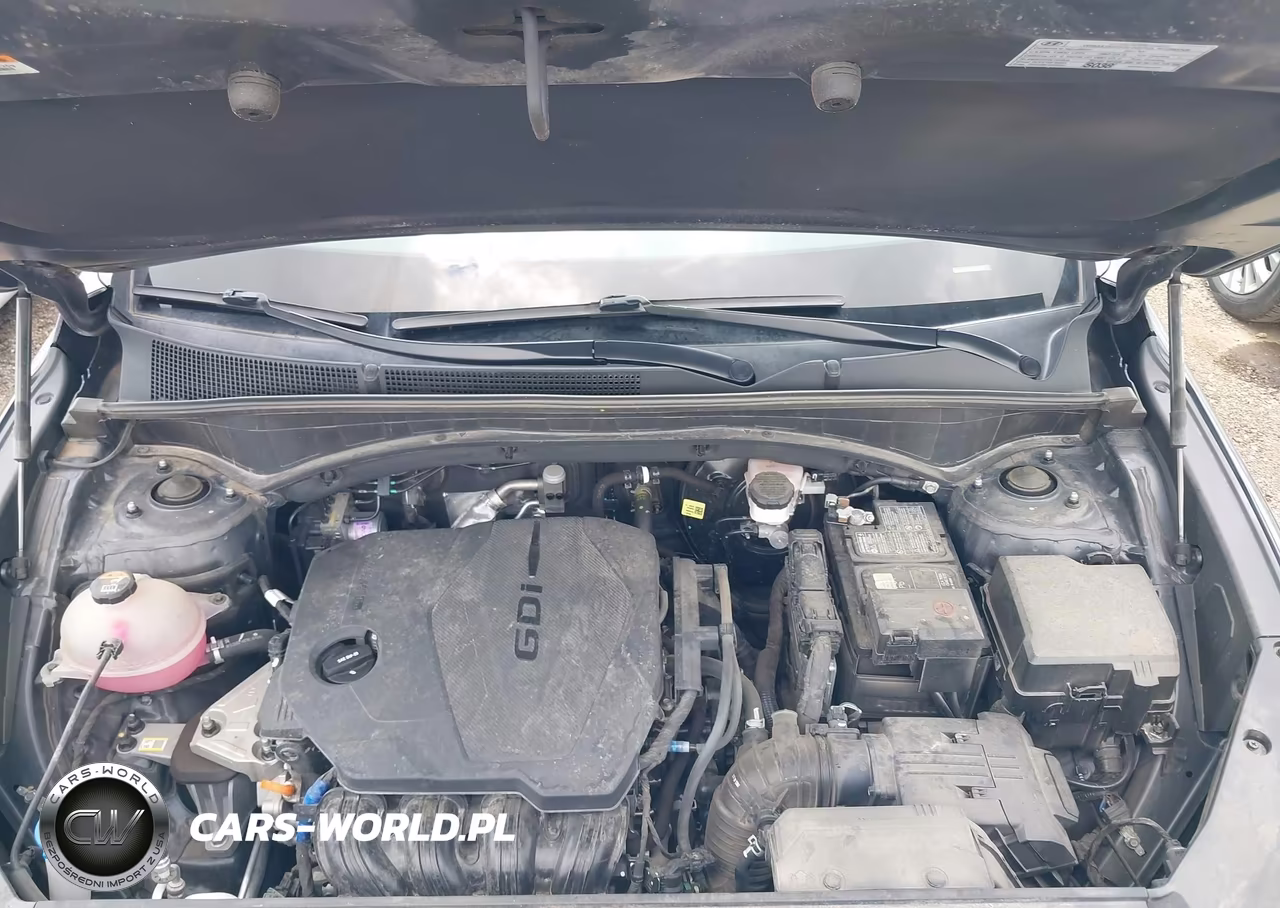 2023 Hyundai Santa Fe Sel VIN:5NMS24AJ6PH652617 - 10