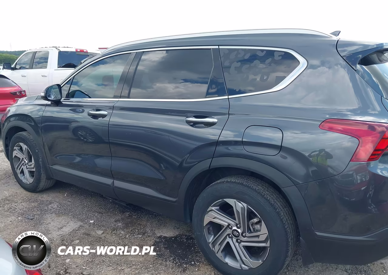 2023 Hyundai Santa Fe Sel VIN:5NMS24AJ6PH652617 - 14