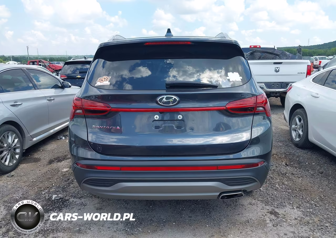 2023 Hyundai Santa Fe Sel VIN:5NMS24AJ6PH652617 - 16