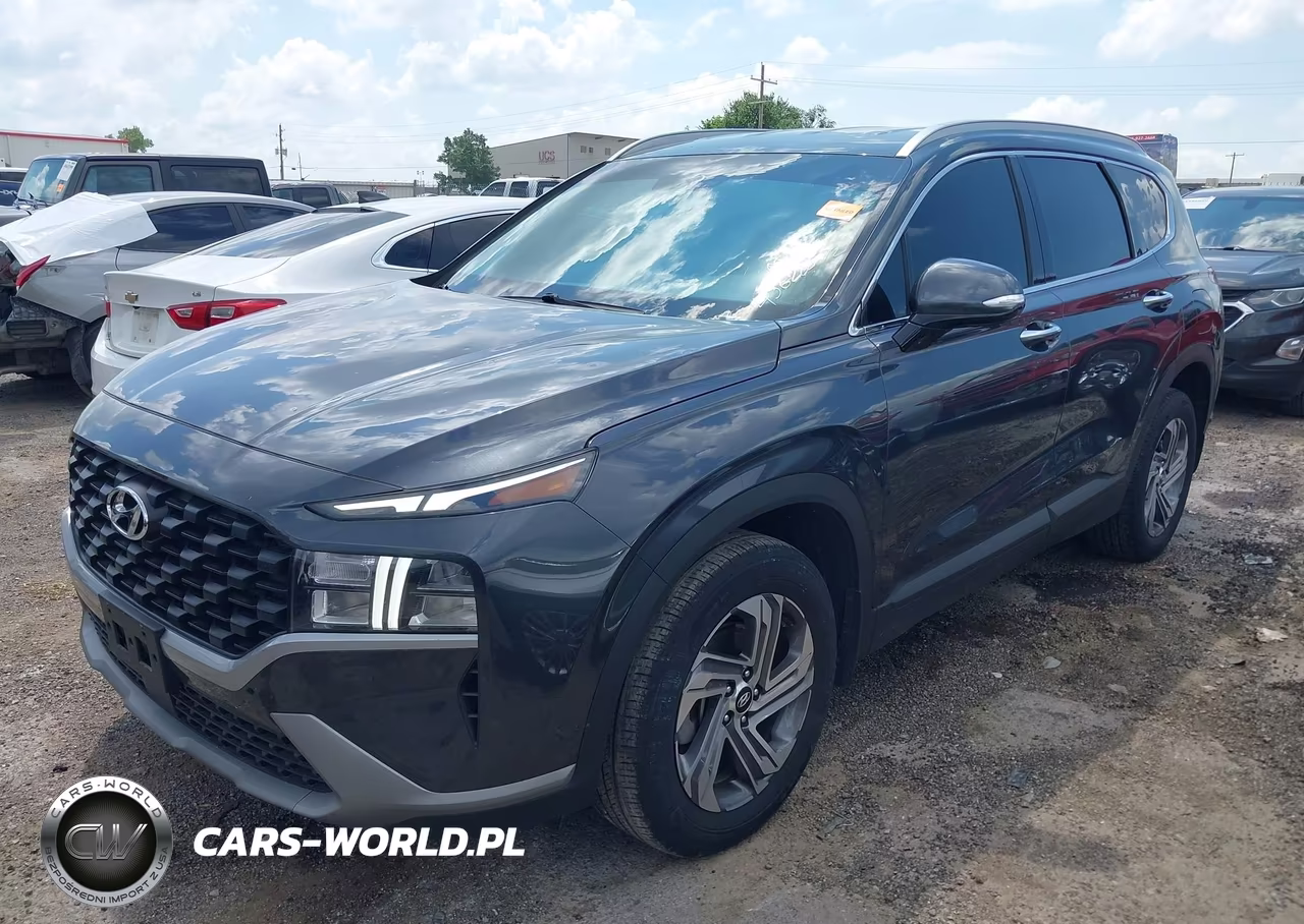 2023 Hyundai Santa Fe Sel VIN:5NMS24AJ6PH652617 - 2