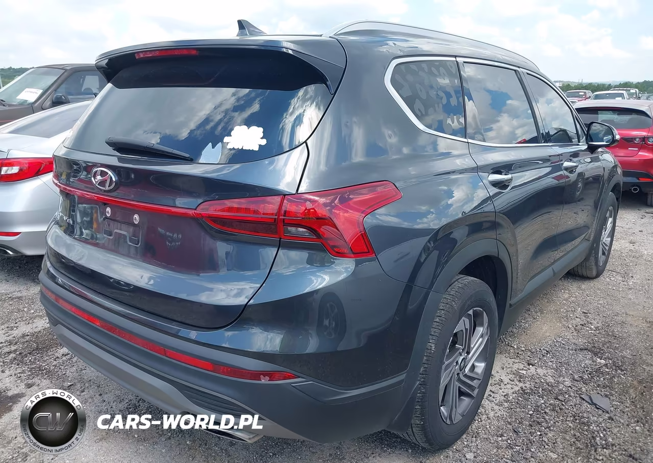 2023 Hyundai Santa Fe Sel VIN:5NMS24AJ6PH652617 - 4