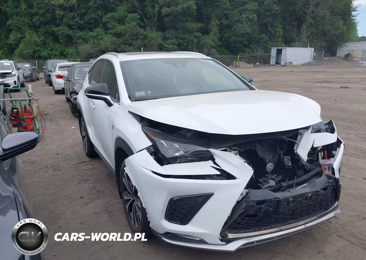 2021 Lexus Nx 300 F Sport