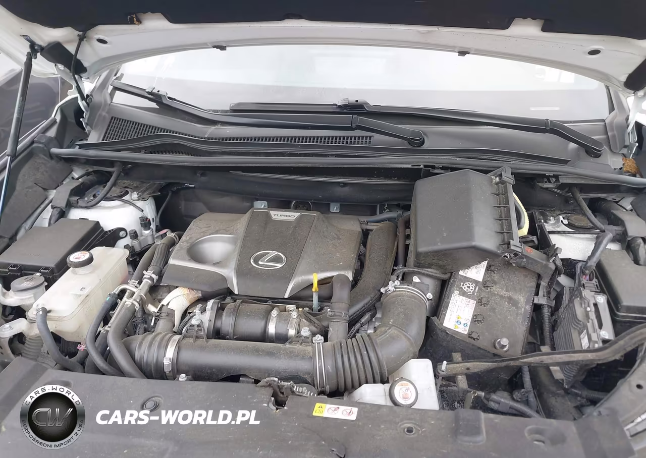 2021 Lexus Nx 300 F Sport VIN:JTJSARDZ2M2263357 - 10