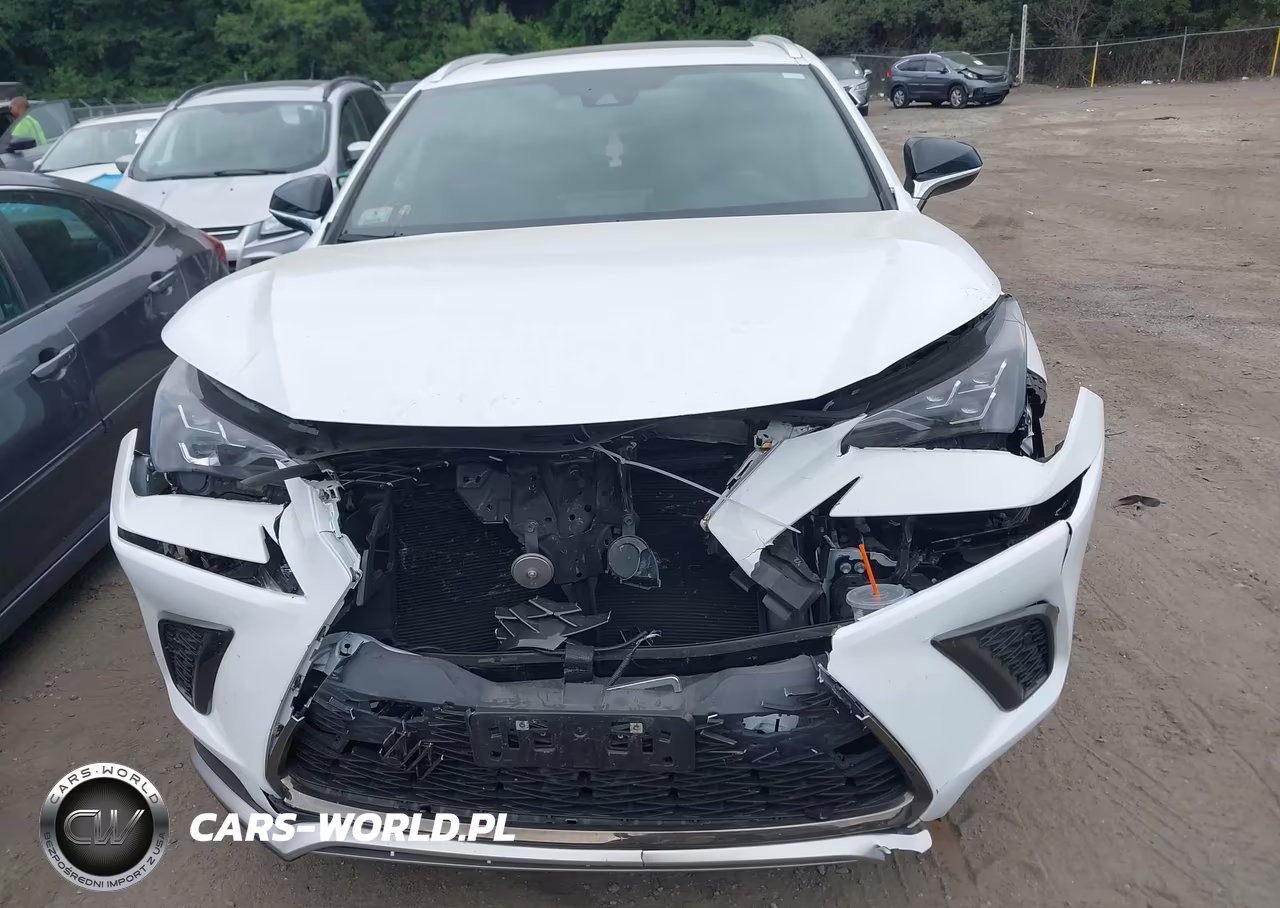 2021 Lexus Nx 300 F Sport VIN:JTJSARDZ2M2263357 - 12