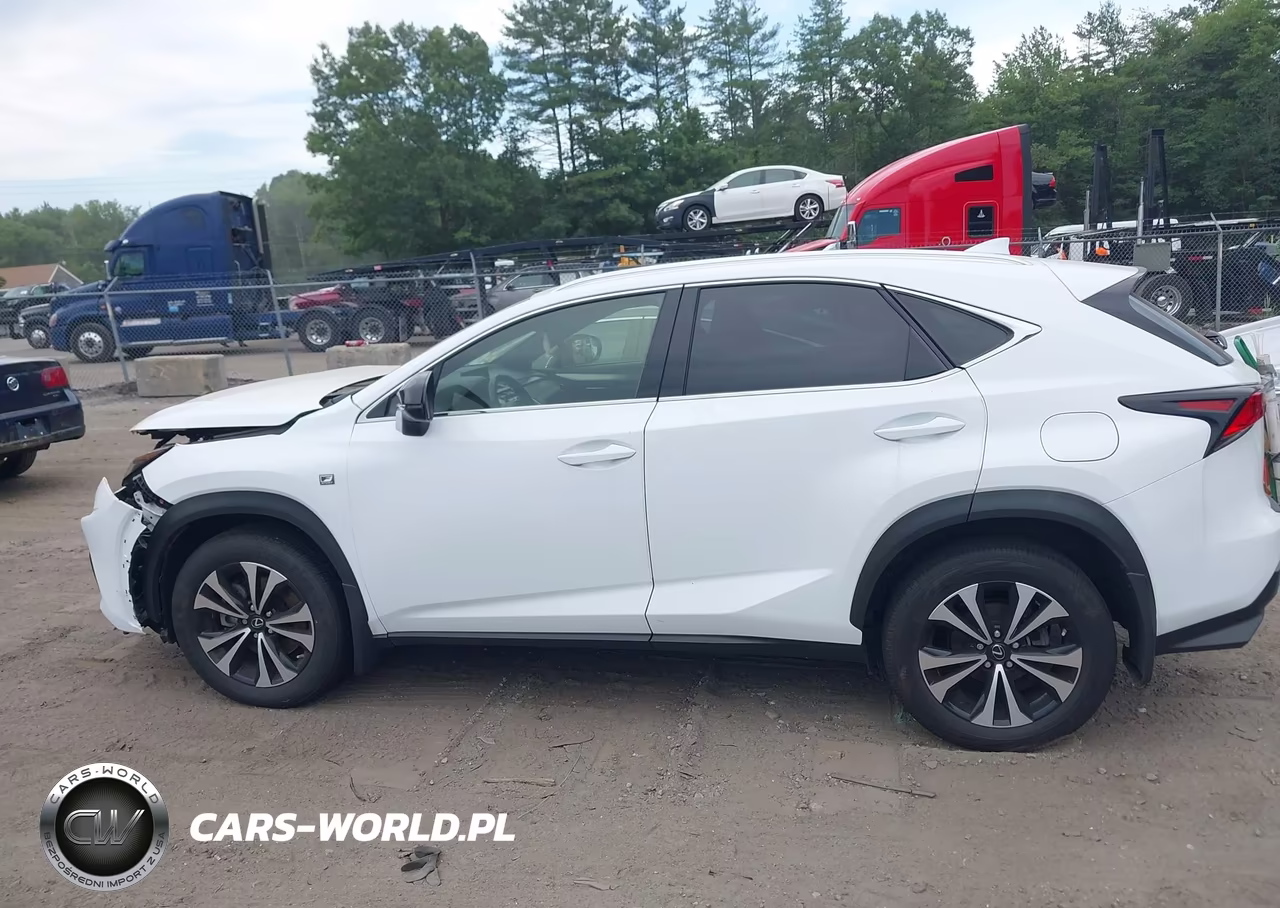 2021 Lexus Nx 300 F Sport VIN:JTJSARDZ2M2263357 - 14