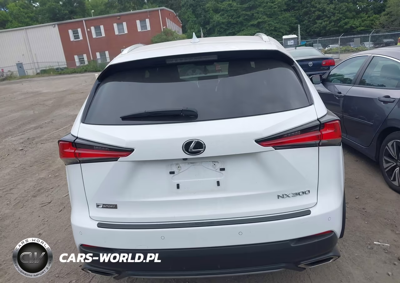 2021 Lexus Nx 300 F Sport VIN:JTJSARDZ2M2263357 - 16