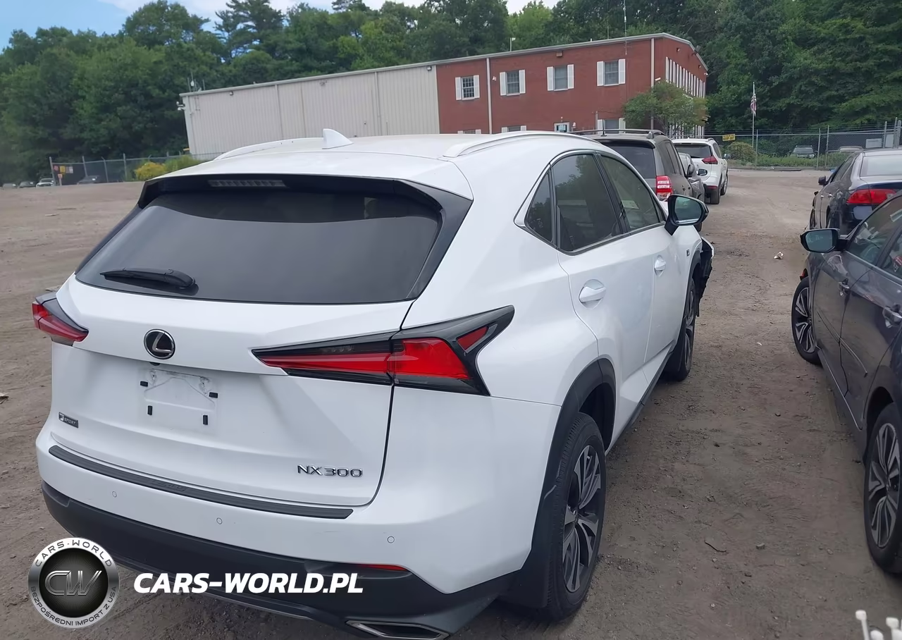 2021 Lexus Nx 300 F Sport VIN:JTJSARDZ2M2263357 - 4