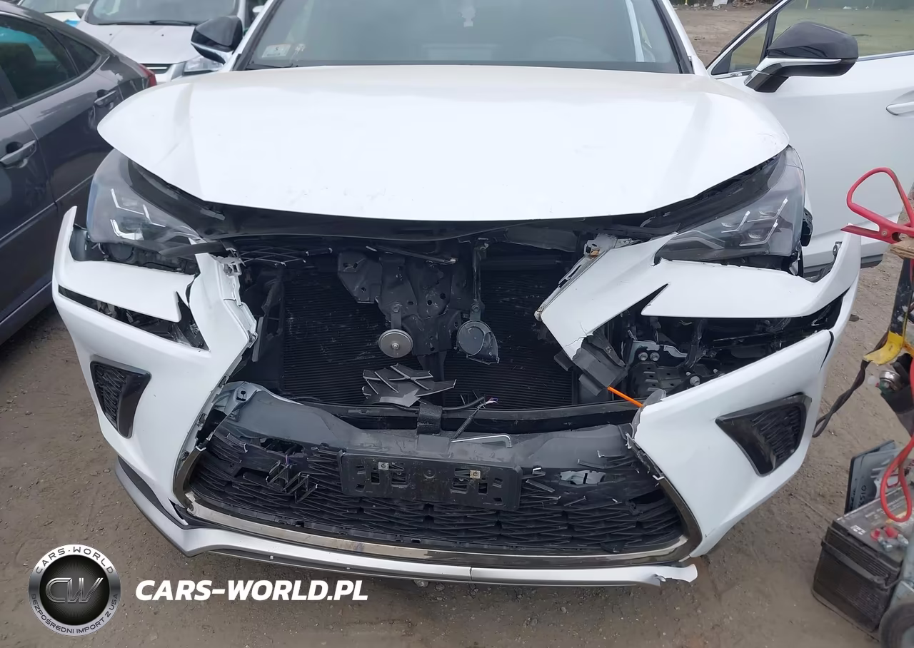 2021 Lexus Nx 300 F Sport VIN:JTJSARDZ2M2263357 - 6