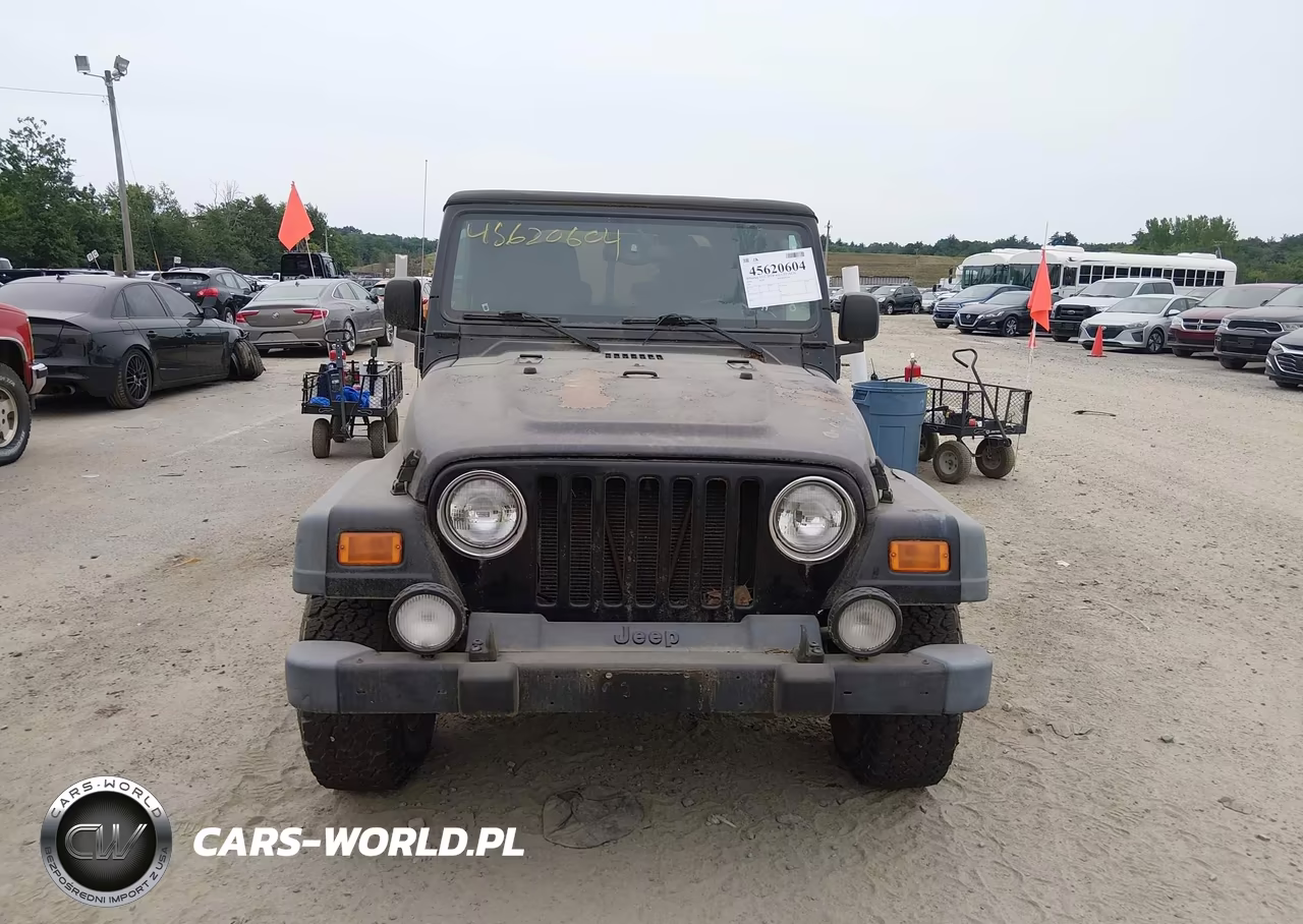 2004 Jeep Wrangler Unlimited VIN:1J4FA49S84P787743 - 12
