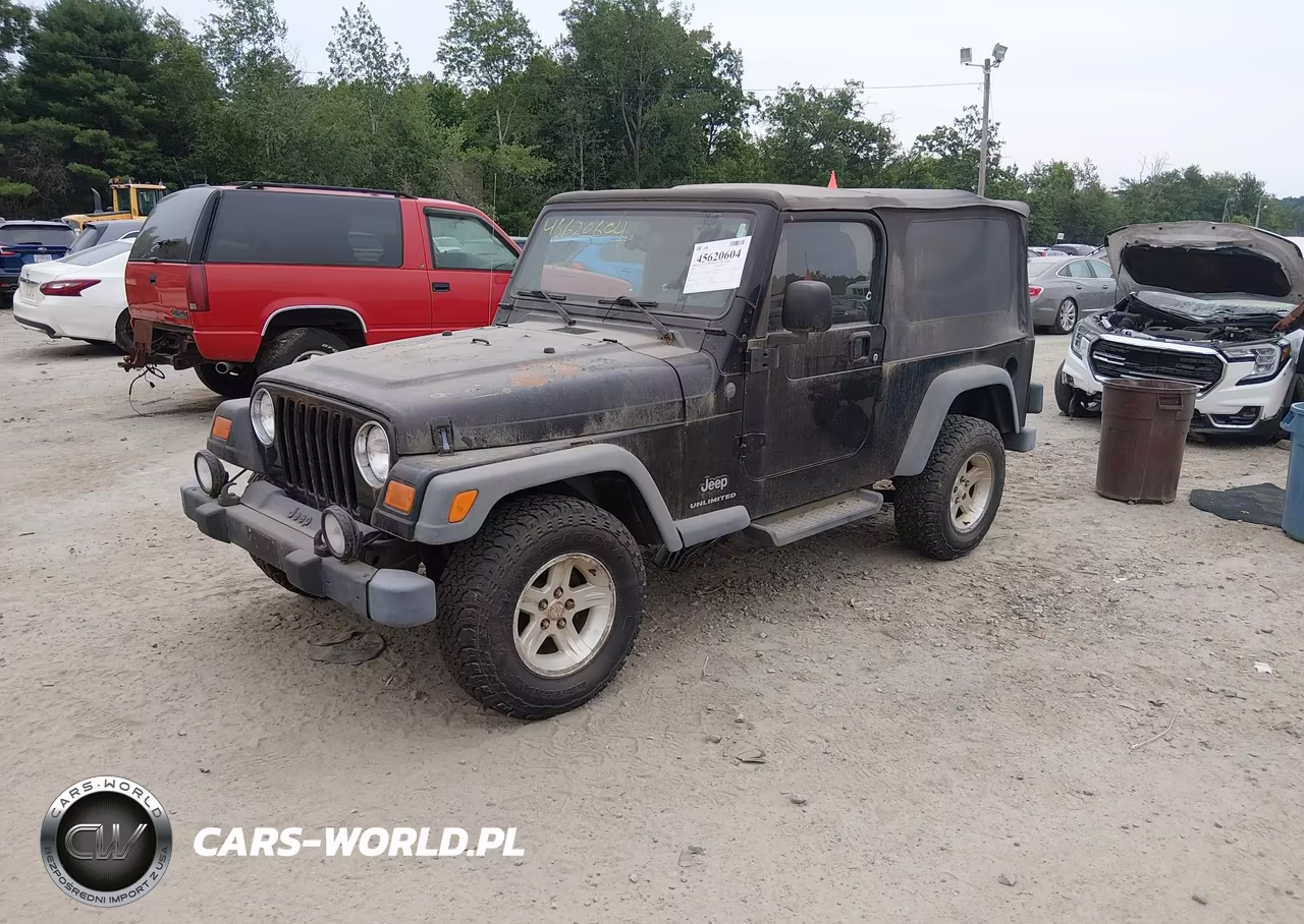 2004 Jeep Wrangler Unlimited VIN:1J4FA49S84P787743 - 2