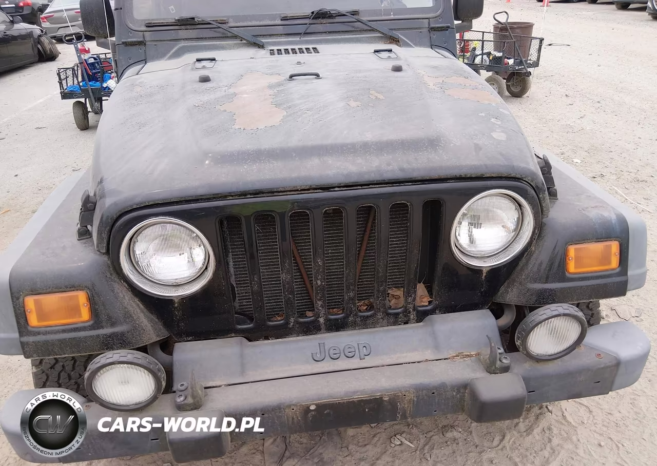 2004 Jeep Wrangler Unlimited VIN:1J4FA49S84P787743 - 6