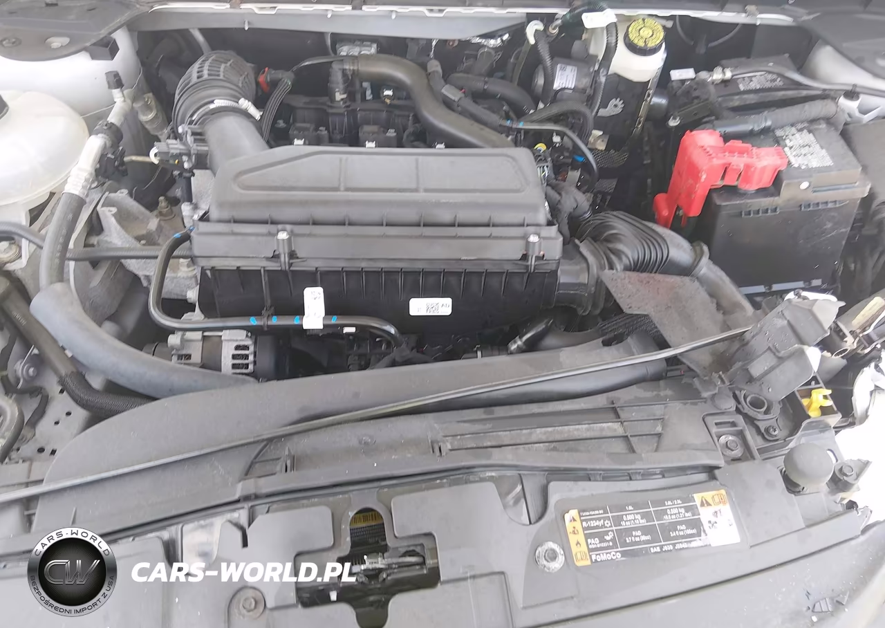 2024 Ford Escape Active VIN:1FMCU9GN5RUB15945 - 10