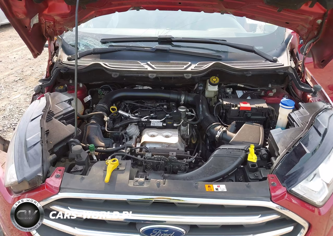 2019 Ford Ecosport Titanium VIN:MAJ3S2KE5KC297401 - 10