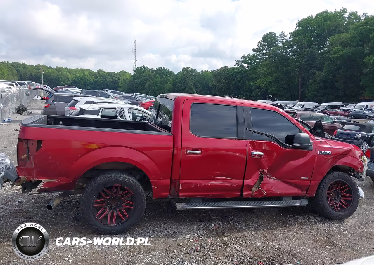 2015 Ford F-150 Xlt VIN:1FTEW1CP2FKE20469 - 13