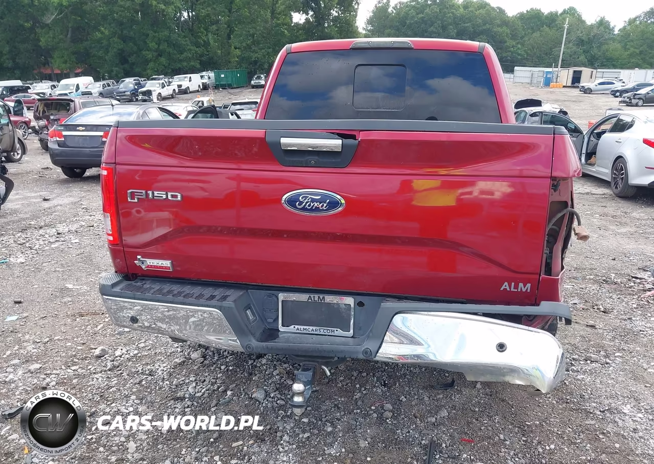 2015 Ford F-150 Xlt VIN:1FTEW1CP2FKE20469 - 16