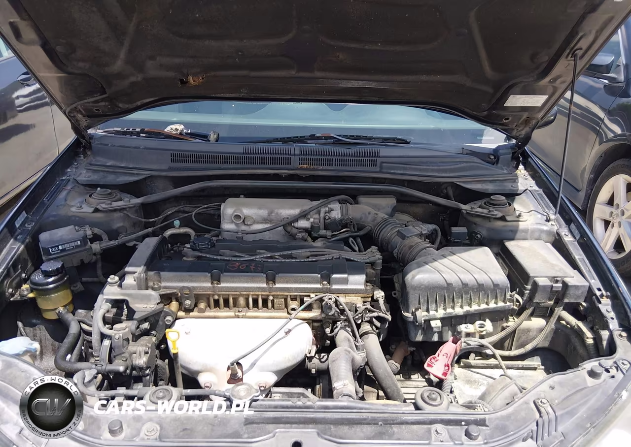 2009 Kia Spectra Sx VIN:KNAFE221995027093 - 10