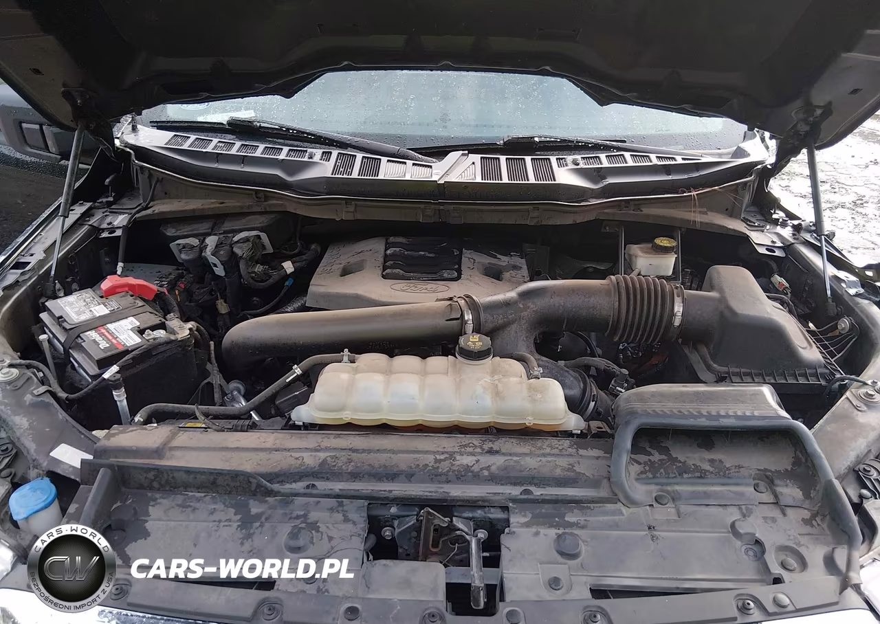 2021 Ford F-150 Xlt VIN:1FTFW1E81MKD44508 - 10