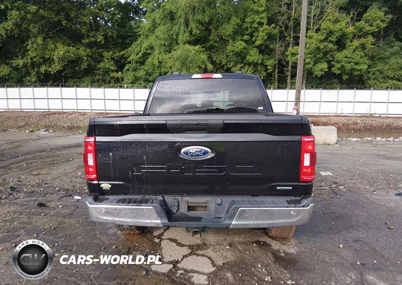 2021 Ford F-150 Xlt VIN:1FTFW1E81MKD44508 - 17