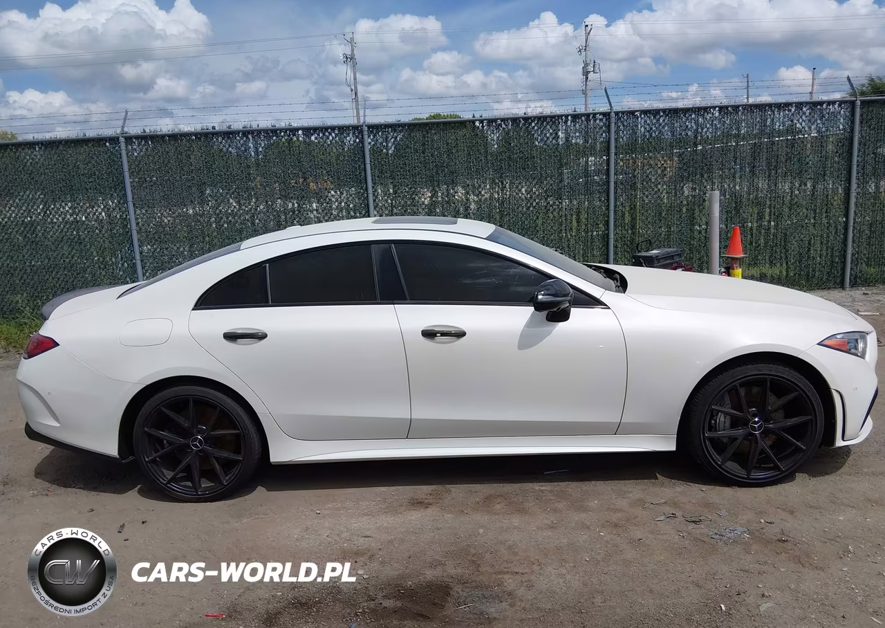 2019 Mercedes-Benz Amg Cls 53 S 4Matic VIN:WDD2J6BB0KA038600 - 14