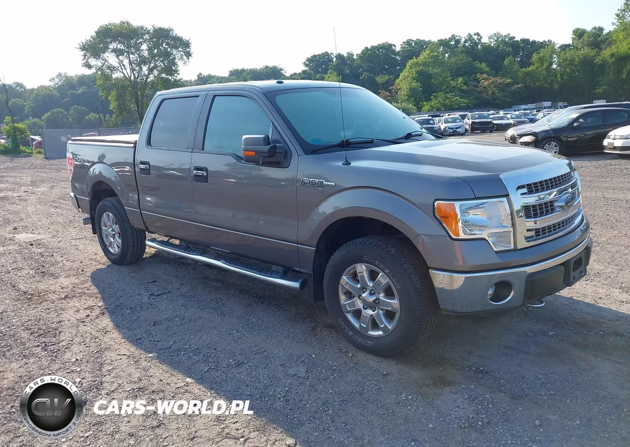 2013 Ford F-150 Xlt – zdjęcie 1 z 17