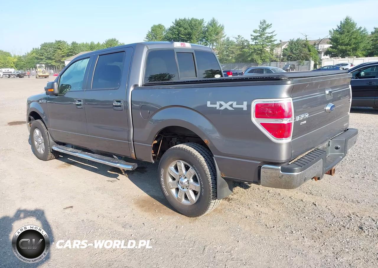 2013 Ford F-150 Xlt VIN:1FTFW1EF9DFB63177 - 3