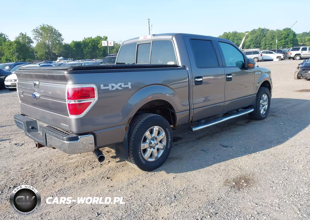 2013 Ford F-150 Xlt VIN:1FTFW1EF9DFB63177 - 4