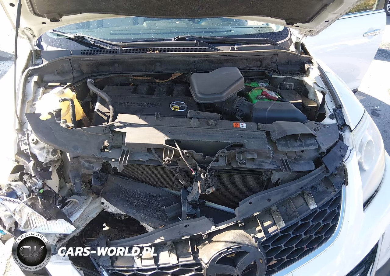 2010 Mazda Cx-9 Grand Touring VIN:JM3TB3MV5A0200377 - 10