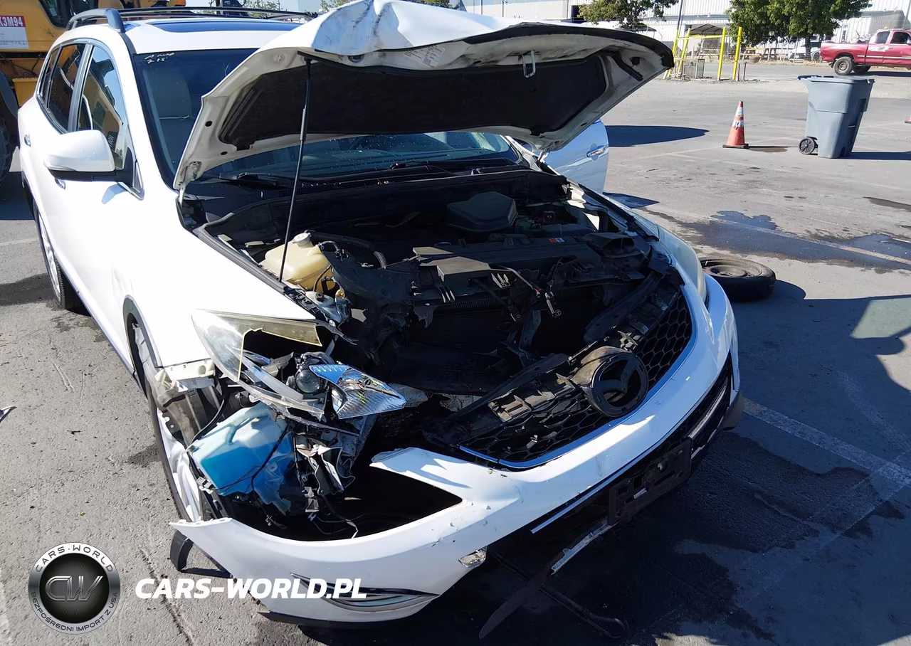2010 Mazda Cx-9 Grand Touring VIN:JM3TB3MV5A0200377 - 6