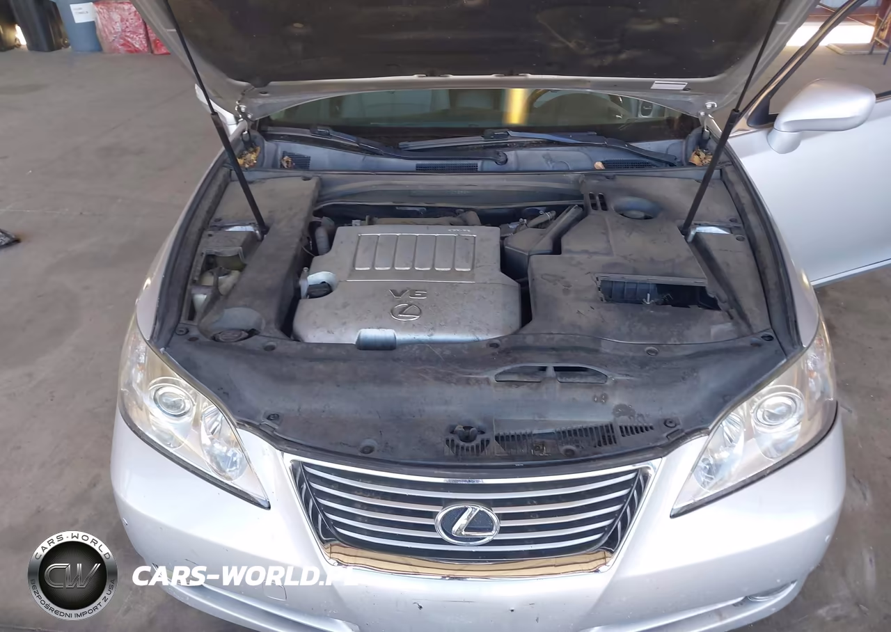 2007 Lexus Es 350 VIN:JTHBJ46GX72127286 - 10
