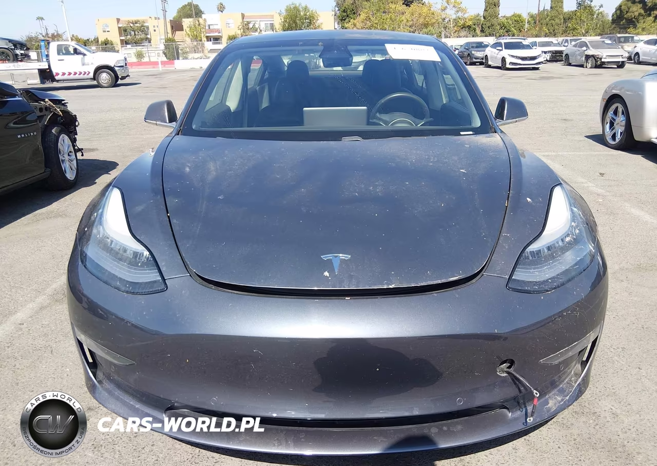 2020 Tesla Model 3 Standard Range Plus Rear-Wheel Drive-Standard Range Rear-Wheel Drive VIN:5YJ3E1EAXLF633830 - 12