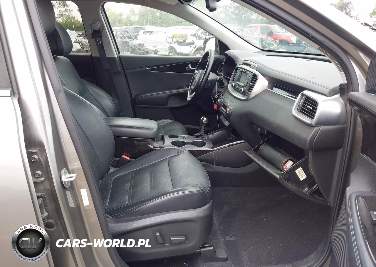 2016 Kia Sorento 2.0T Ex VIN:5XYPH4A18GG123166 - 5