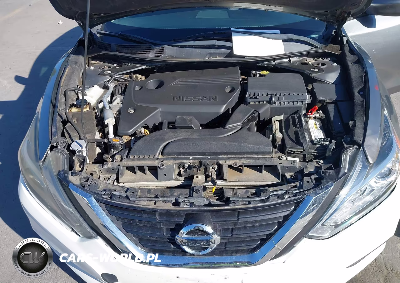 2016 Nissan Altima 2.5-2.5 S-2.5 Sl-2.5 Sr-2.5 Sv VIN:1N4AL3AP5GC230379 - 10