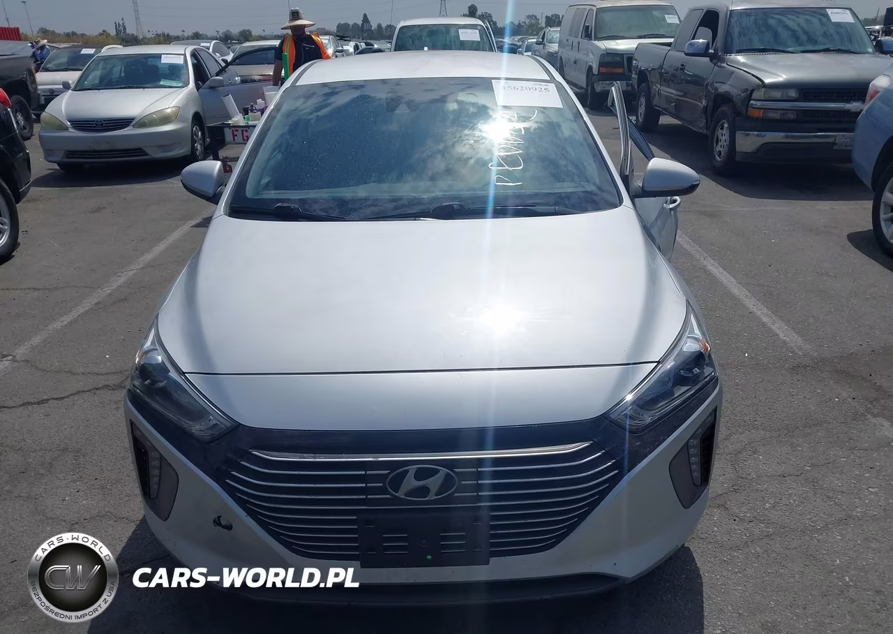2019 Hyundai Ioniq Hybrid Sel VIN:KMHC75LCXKU144836 - 13