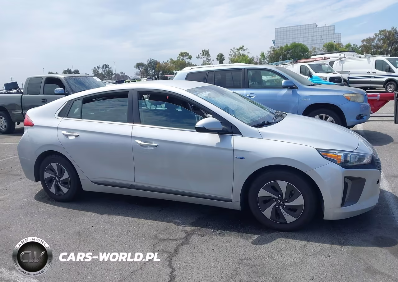 2019 Hyundai Ioniq Hybrid Sel VIN:KMHC75LCXKU144836 - 14