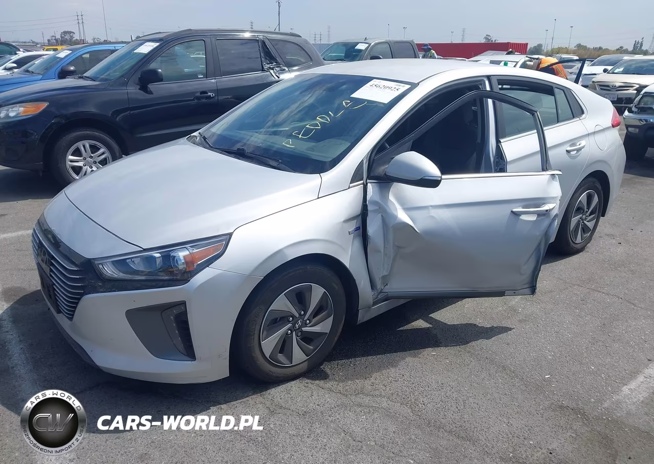 2019 Hyundai Ioniq Hybrid Sel VIN:KMHC75LCXKU144836 - 2
