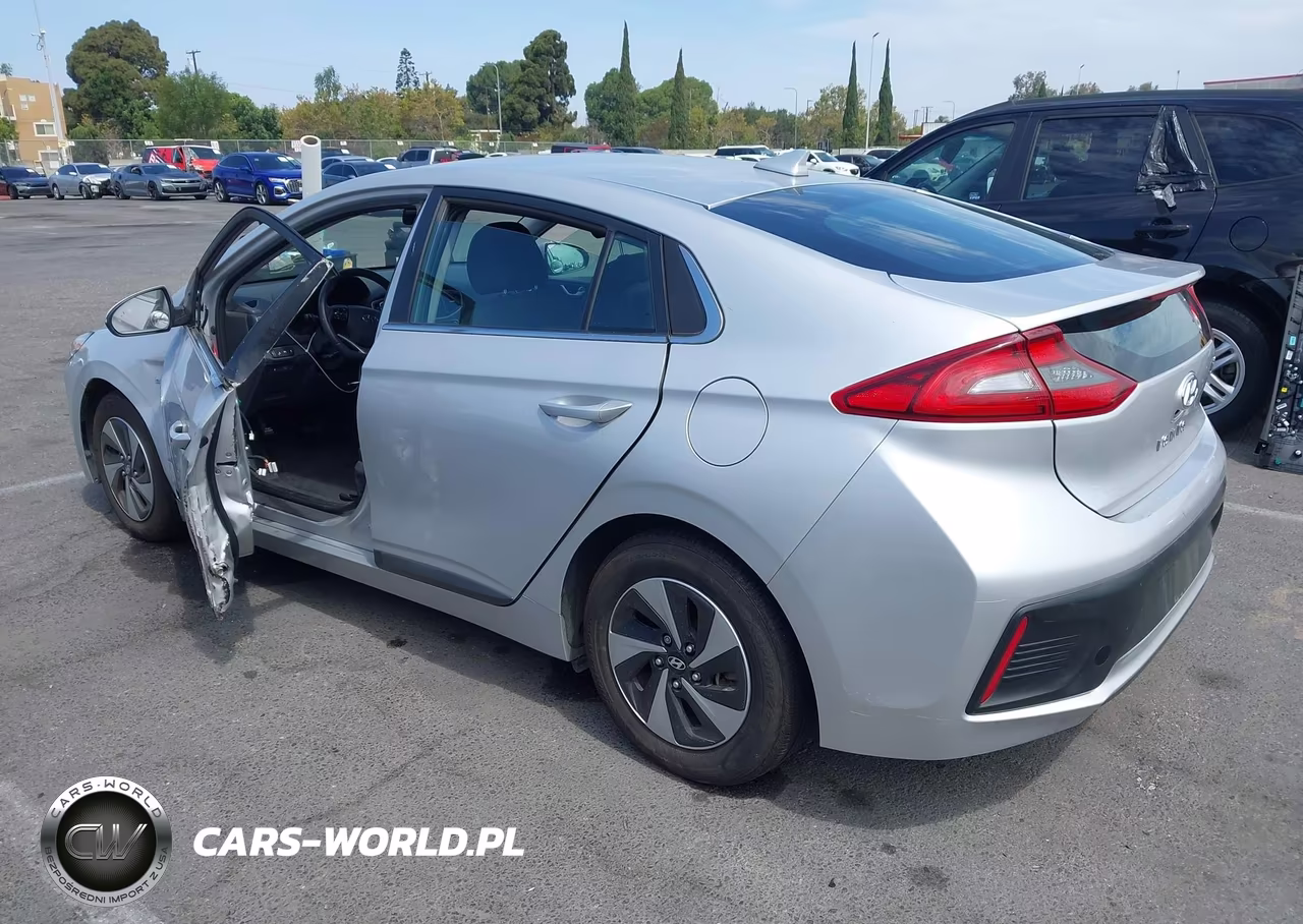 2019 Hyundai Ioniq Hybrid Sel VIN:KMHC75LCXKU144836 - 3