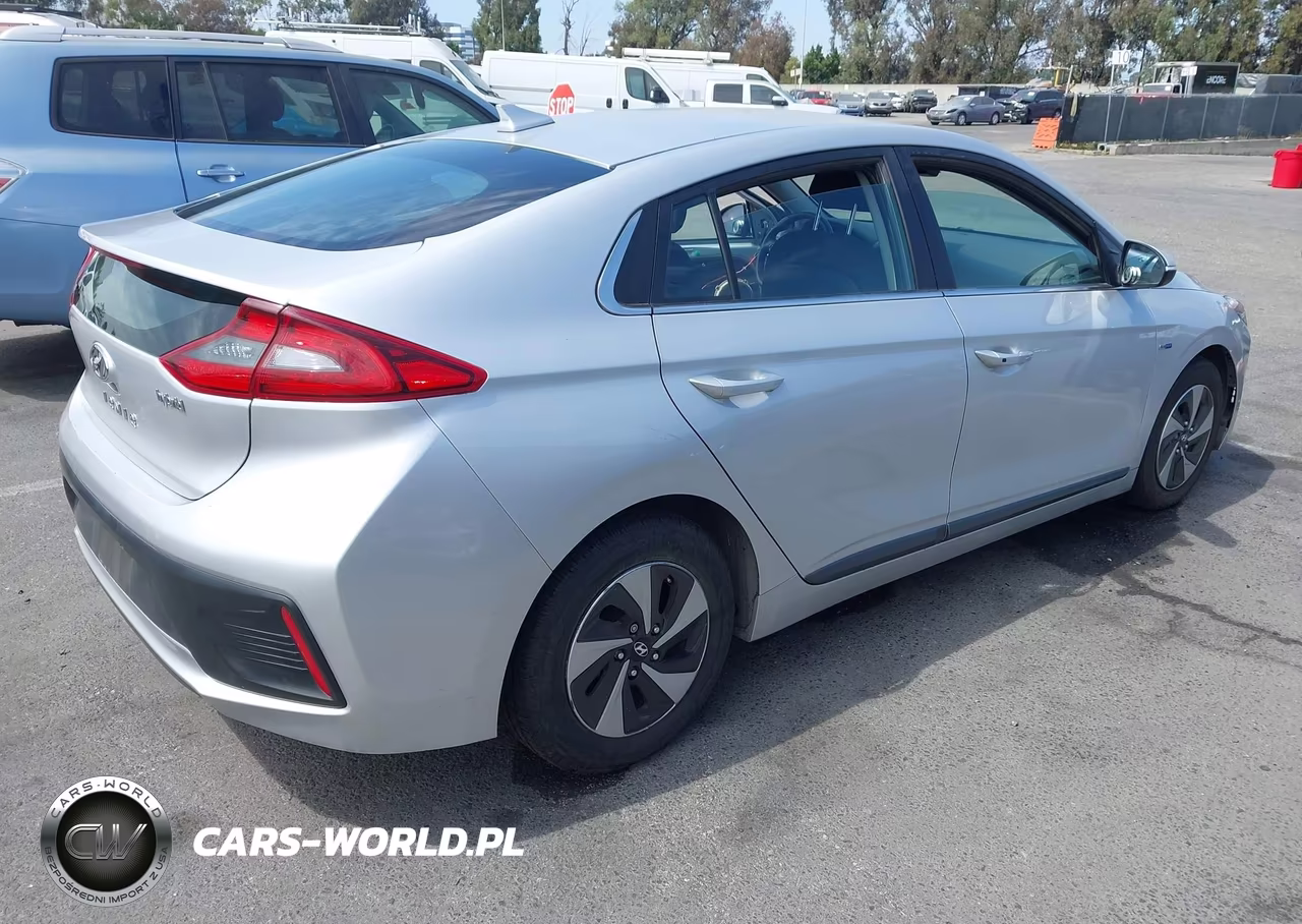 2019 Hyundai Ioniq Hybrid Sel VIN:KMHC75LCXKU144836 - 4