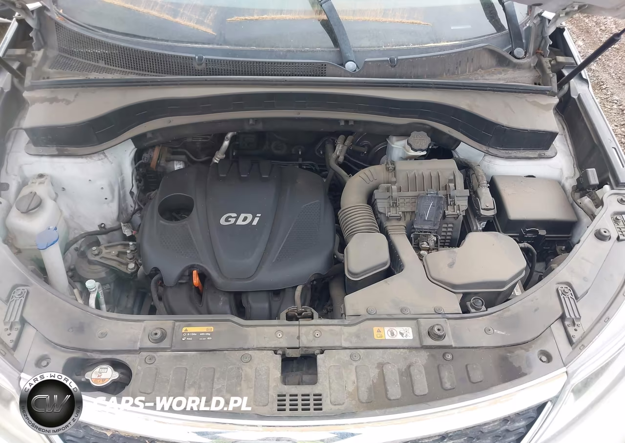 2014 Kia Sorento Lx VIN:5XYKT4A65EG472173 - 10