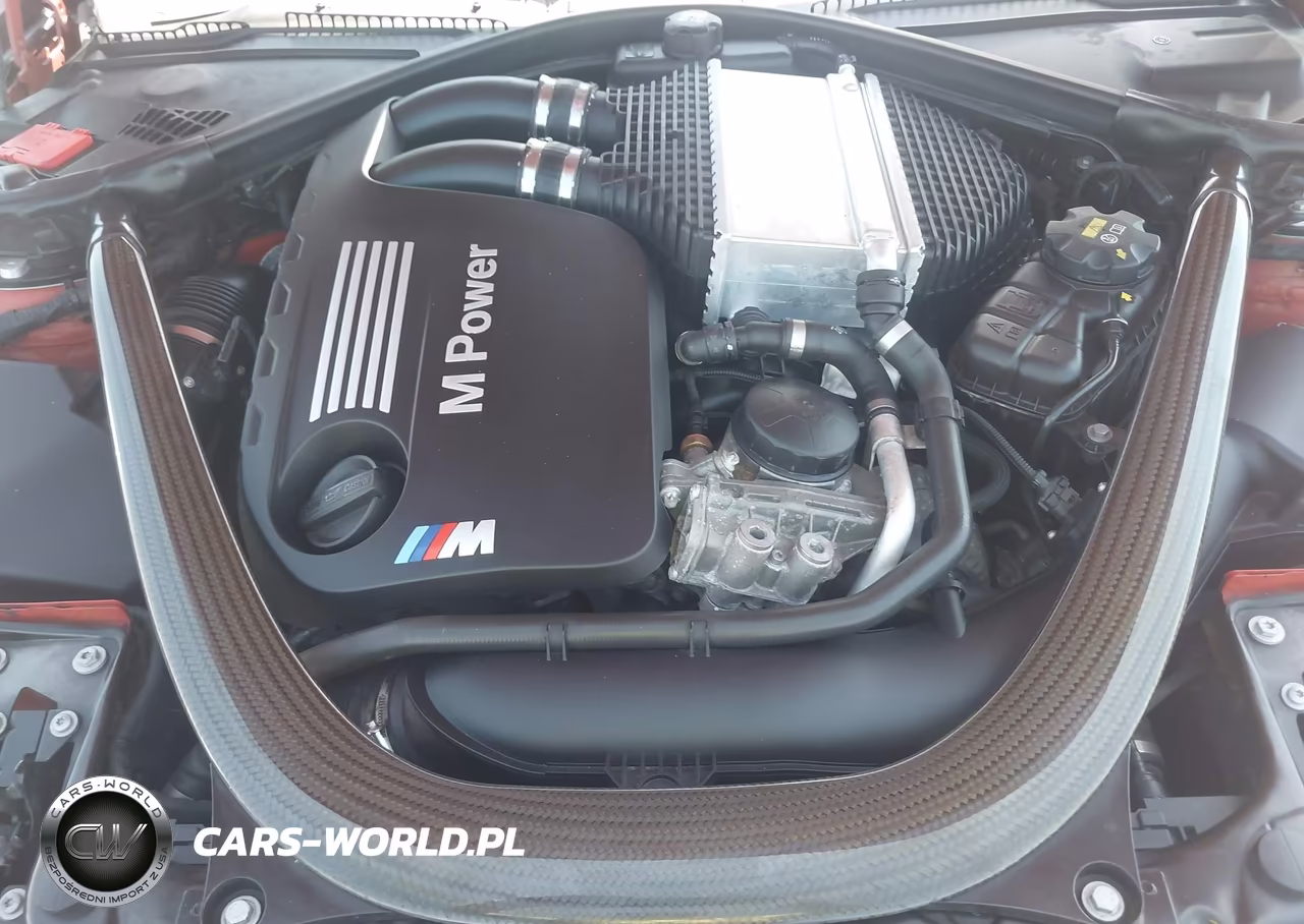 2015 BMW M4 VIN:WBS3R9C58FK330960 - 10