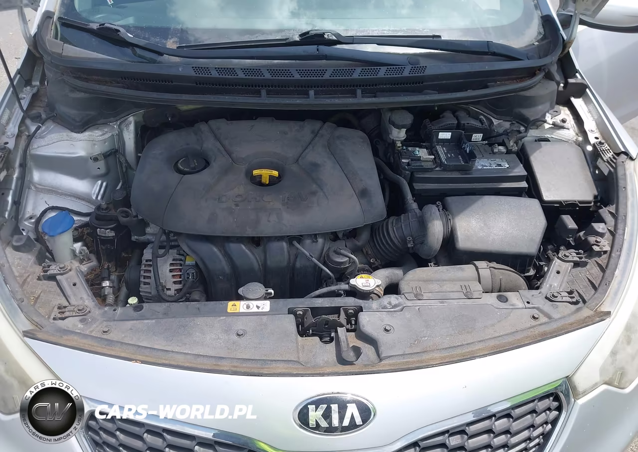 2015 Kia Forte Lx VIN:KNAFK4A60F5432630 - 10