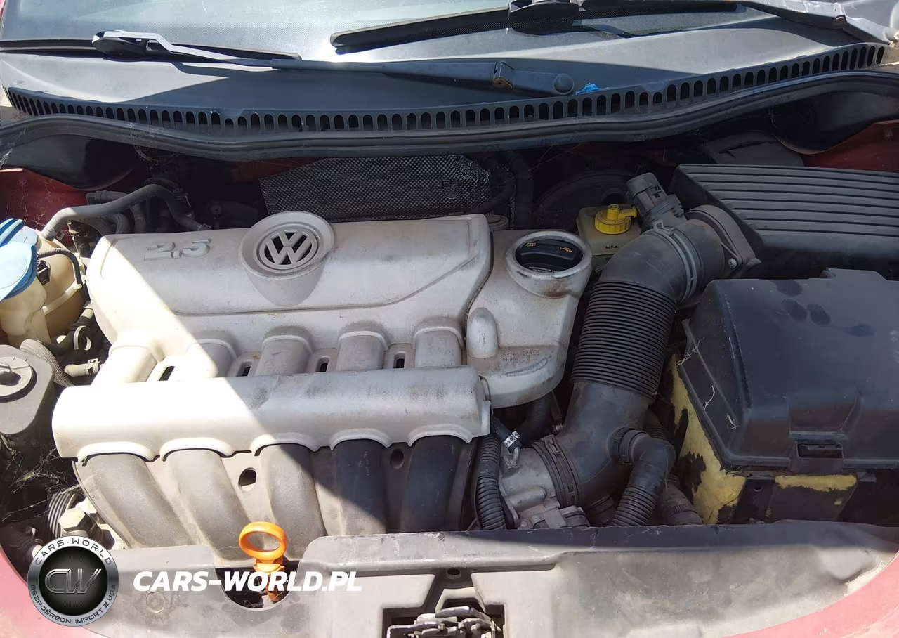 2006 Volkswagen New Beetle 2.5 VIN:3VWSW31C36M419044 - 10