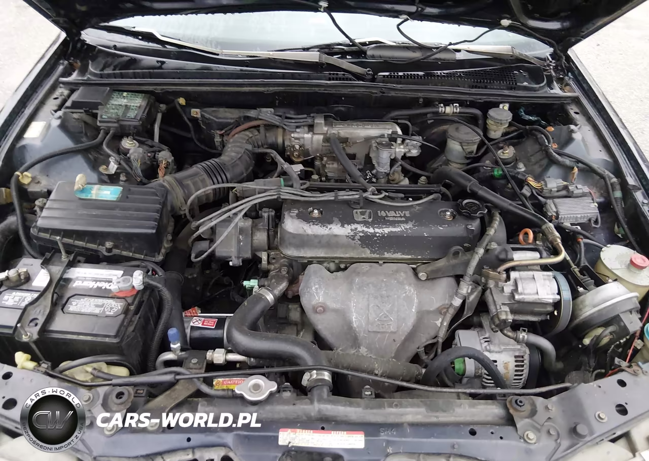 1992 Honda Accord Lx VIN:1HGCB7558NA052953 - 10