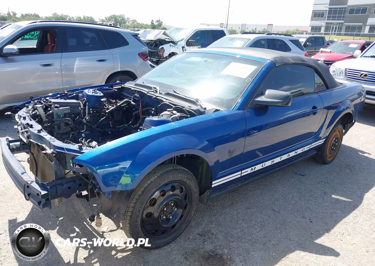 2009 Ford Mustang V6-V6 Premium VIN:1ZVHT84N695115553 - 2